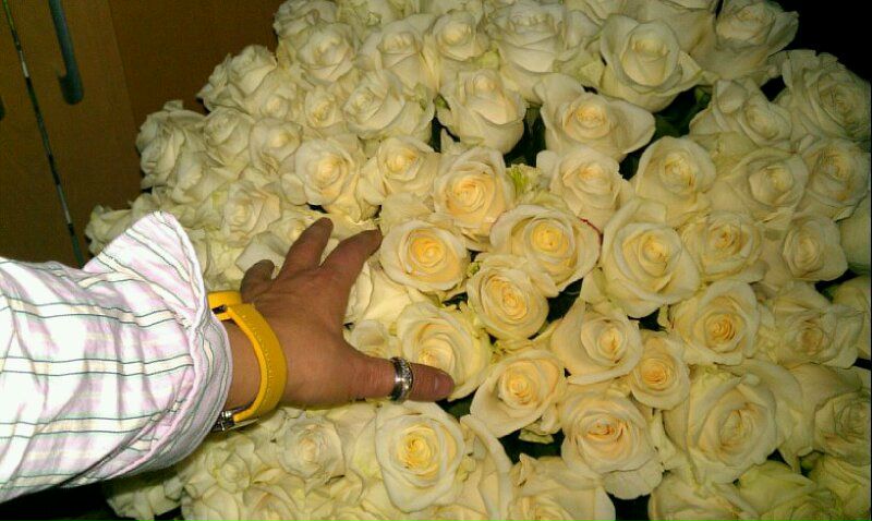 №8, Вероника Логинова №8, Вероника Логинова