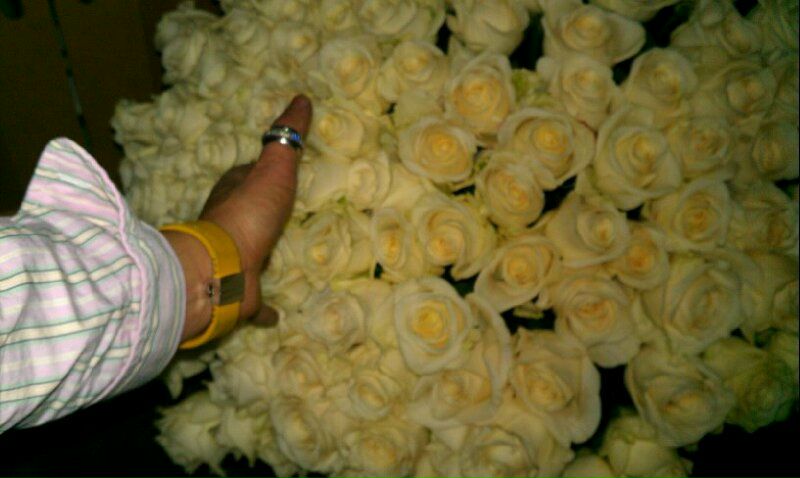 №10, Вероника Логинова №10, Вероника Логинова