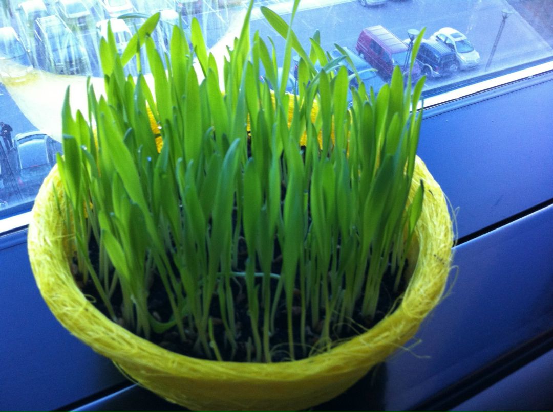 Татьяна Коротченко | Санкт-Петербург