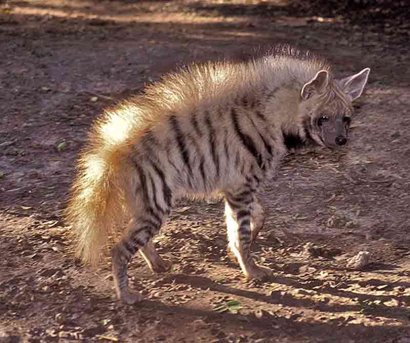 Артур Асадулин (ТУРИ_АСАДУЛИ) | Уфа