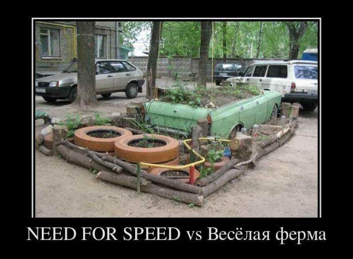 Илья Жамойдик | Красноярск