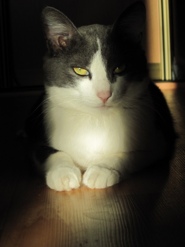 Надежда Першина | Томск