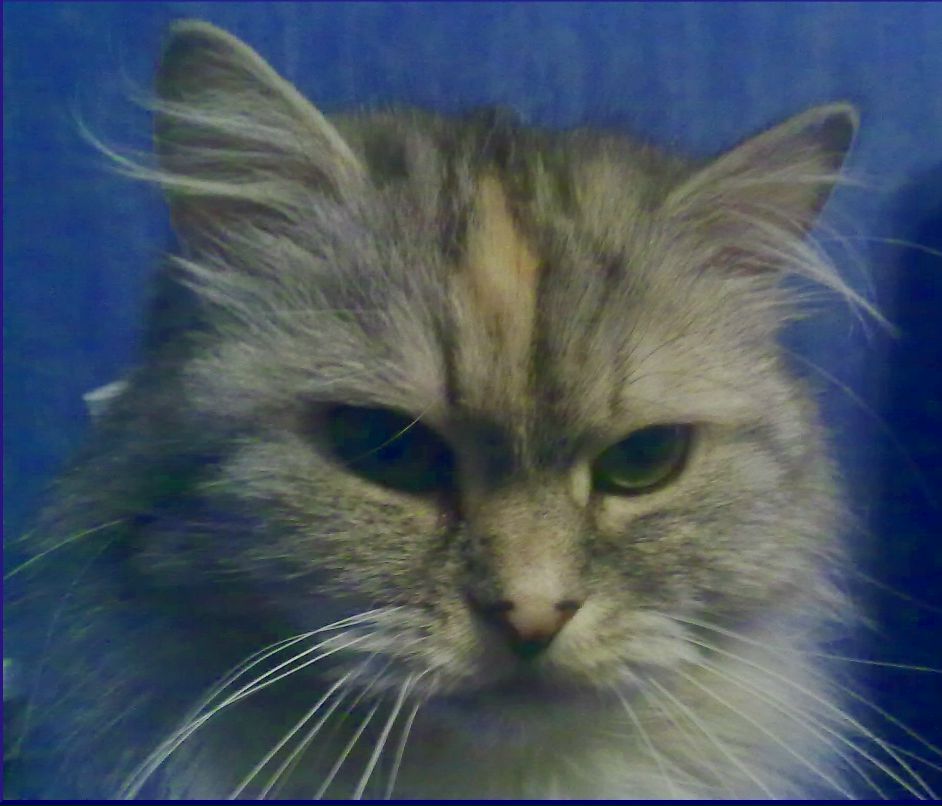 Иванна Тадеушевна | Владивосток