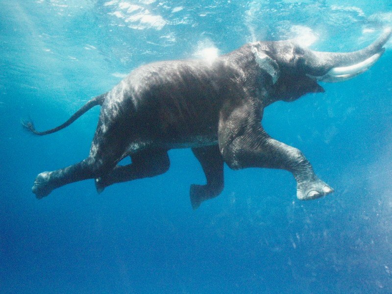 Pavel Guchi | Санкт-Петербург