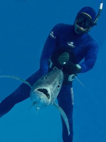 Денис Платковский | Sharm el-Sheikh