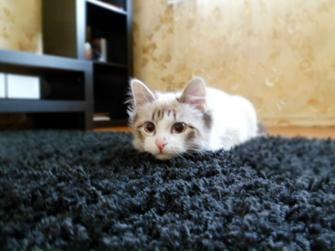 Nazaroy Anton | Псков