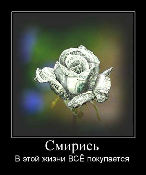№9, Виталий Дырзу, Мукачево №9, Виталий Дырзу, Мукачево