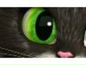 Альбина Баширова | Кумертау