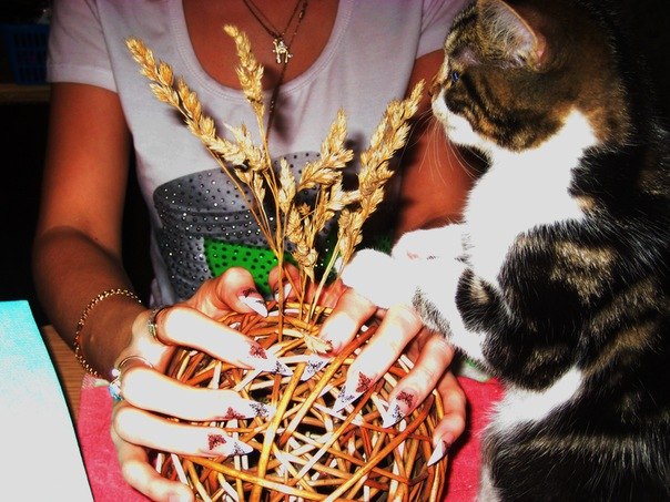 Светлана Журавлева | Санкт-Петербург