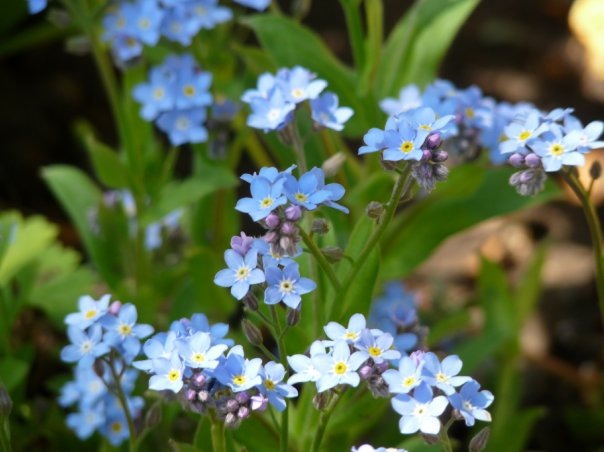 №116, Елена Александровна Огородникова, Челябинск №116, Елена Александровна Огородникова, Челябинск