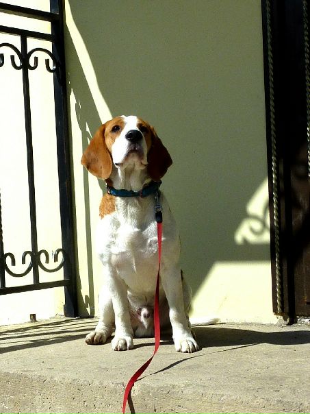 №15, Анастасия Лещенко, Волхов №15, Анастасия Лещенко, Волхов