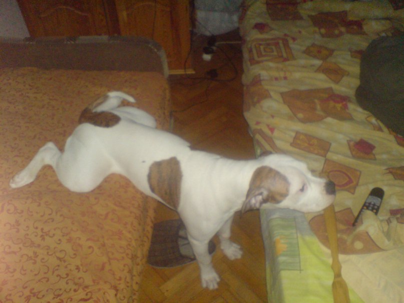 Жека Раджабов | Киев