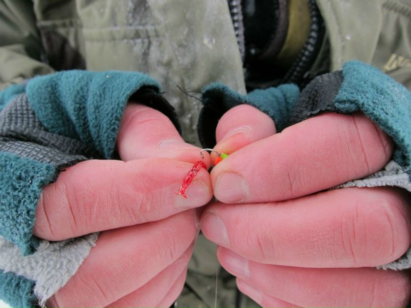 Александр Парамонов | Череповец