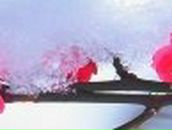 Нина Майстер | Винница