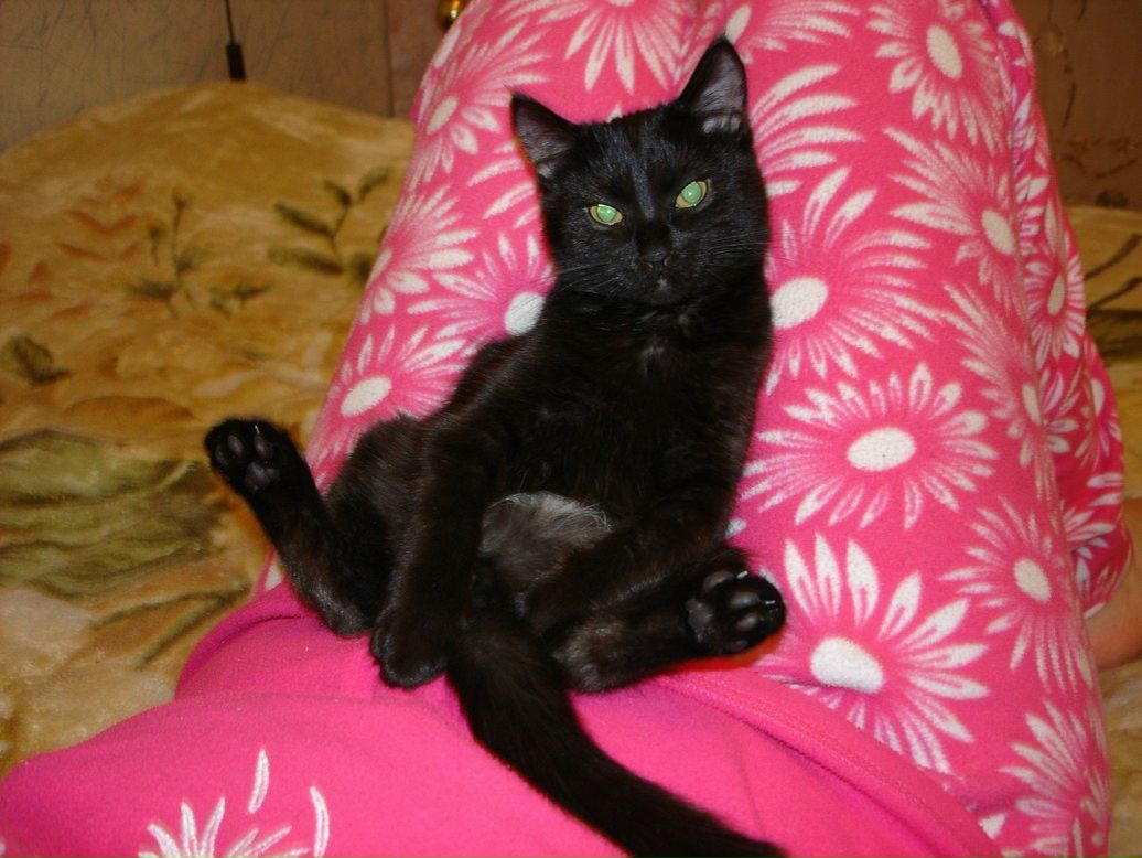 Василий Гаврилов Александрович | Пермь