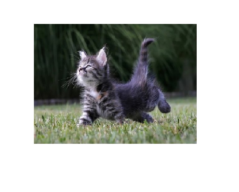 Натали Нестеренко | Киев