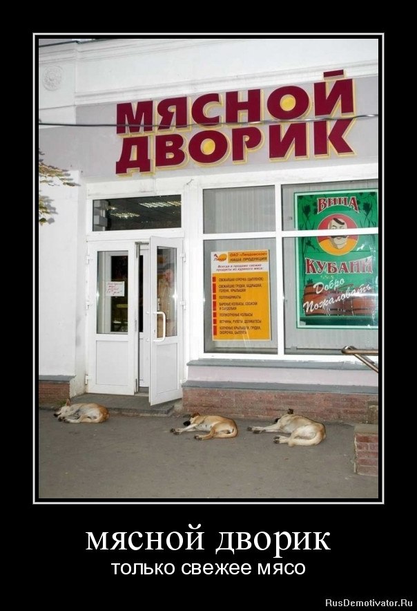 Роман Закорлюк | Нижний Новгород