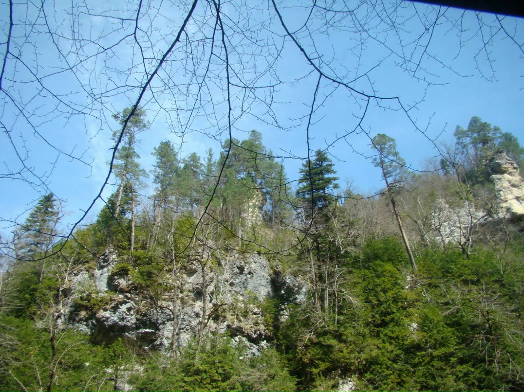 Марина Чурило | Краснодар