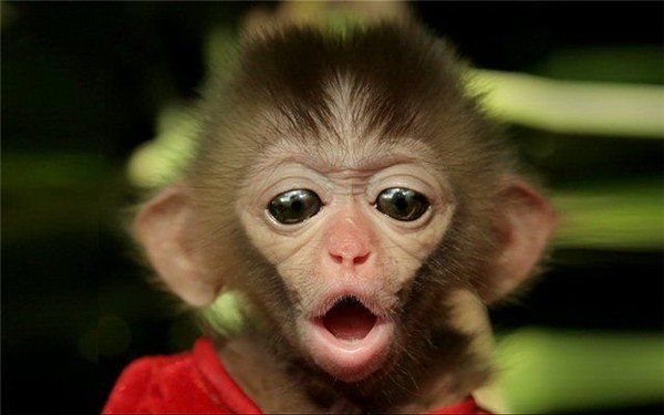 Оля Одражий | Харьков