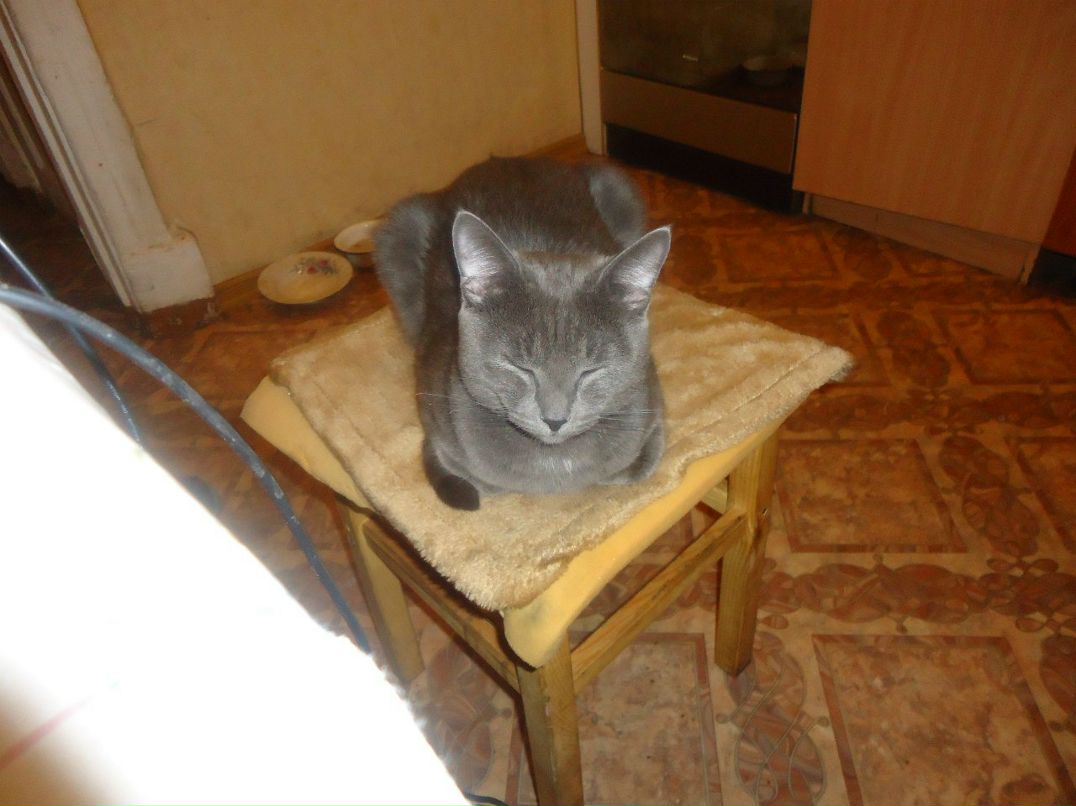 Валентина Величко | Санкт-Петербург