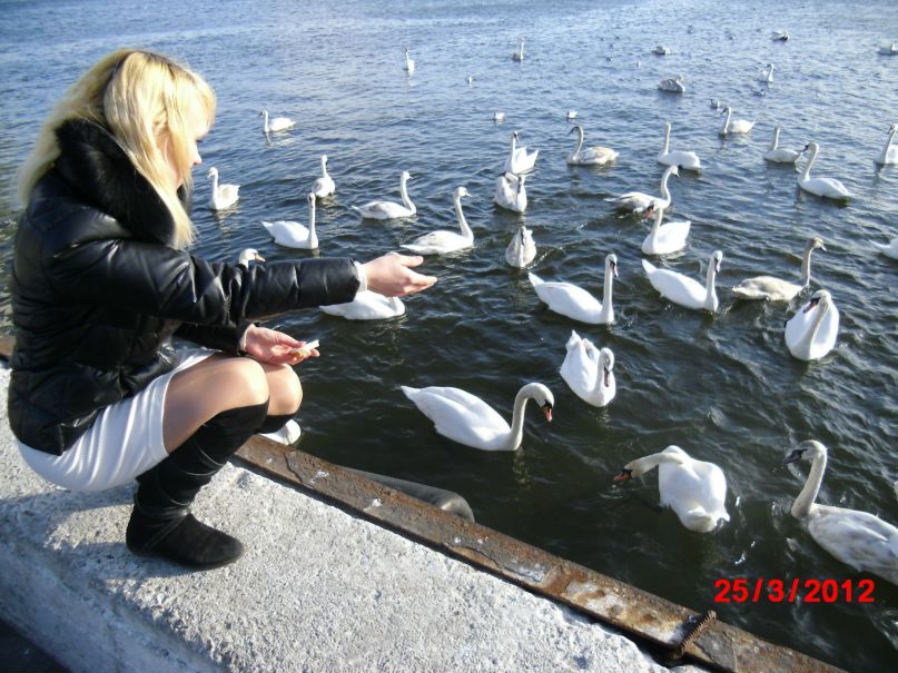 Алина Савченко | Навля