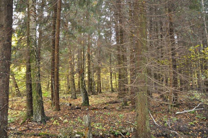 Павел Эйнуллаев Сергеевич | Подольск