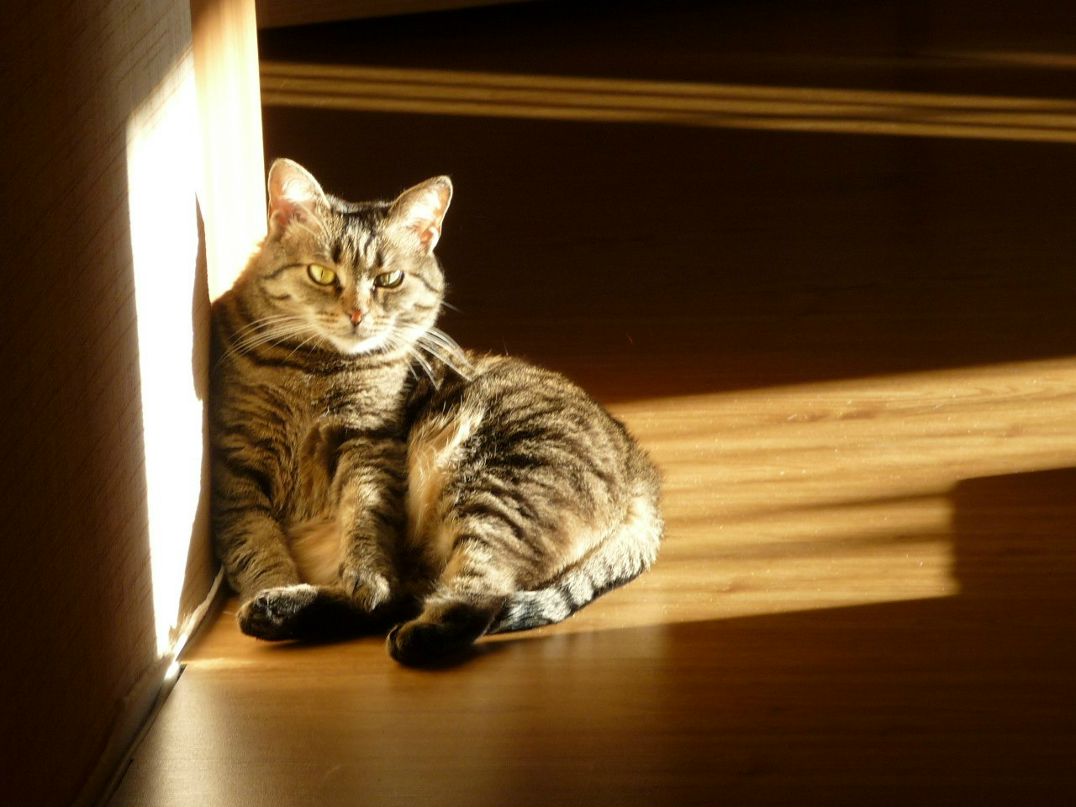 Наталья Быханова | Владимир