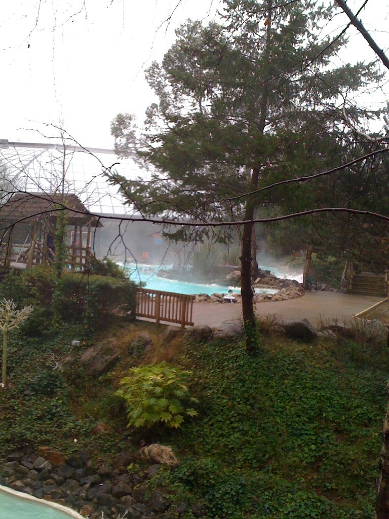 Maria Artsimovich | Bitterfeld-Wolfen