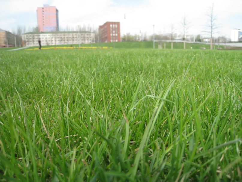 Odessa Mama | Одесса