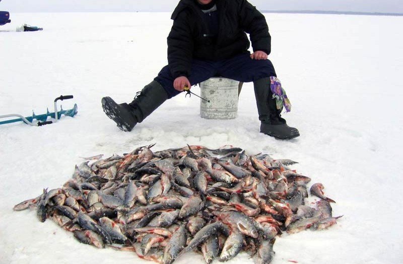 Павел Кальмавой | Краснодар