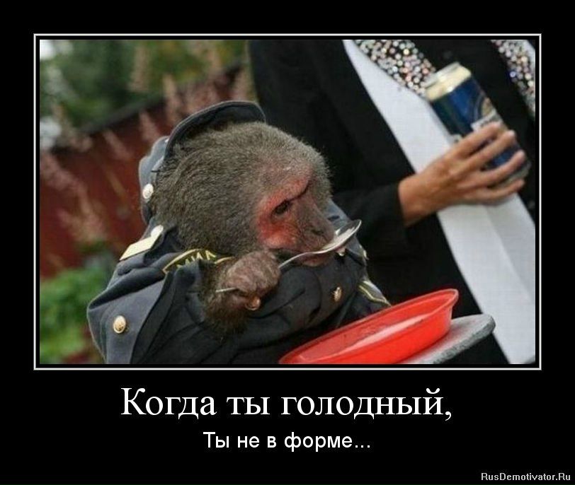 Илья Дитятьев Андреевич | 