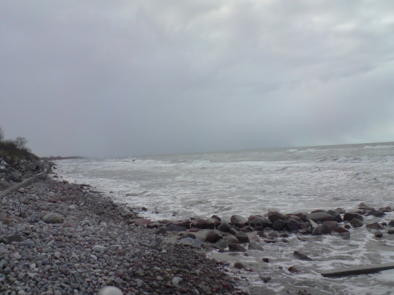 Светлана Шитикова-Гуськова | Калининград