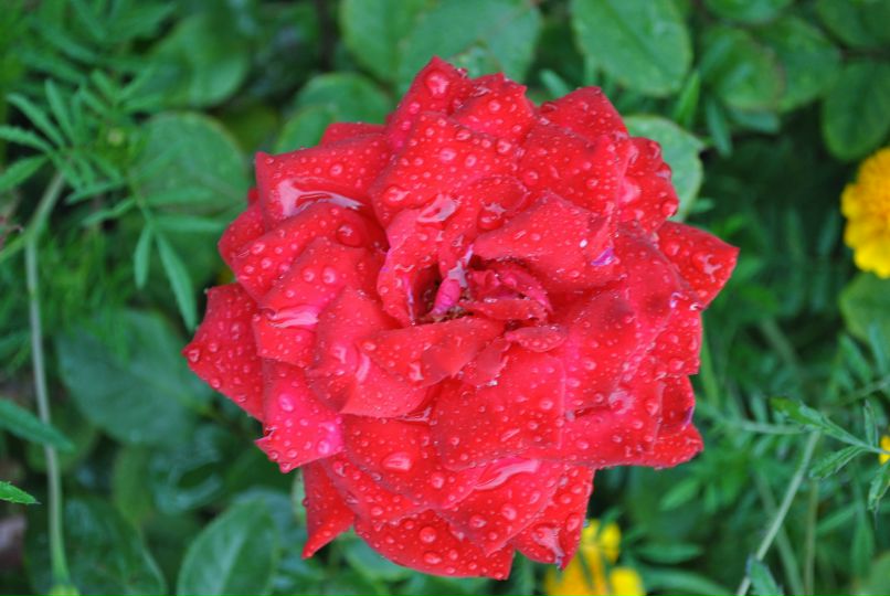 Надя Васильева | Канаш