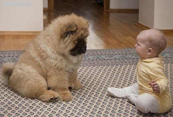 Валерия Вознесенская | Днепр (Днепропетровск)