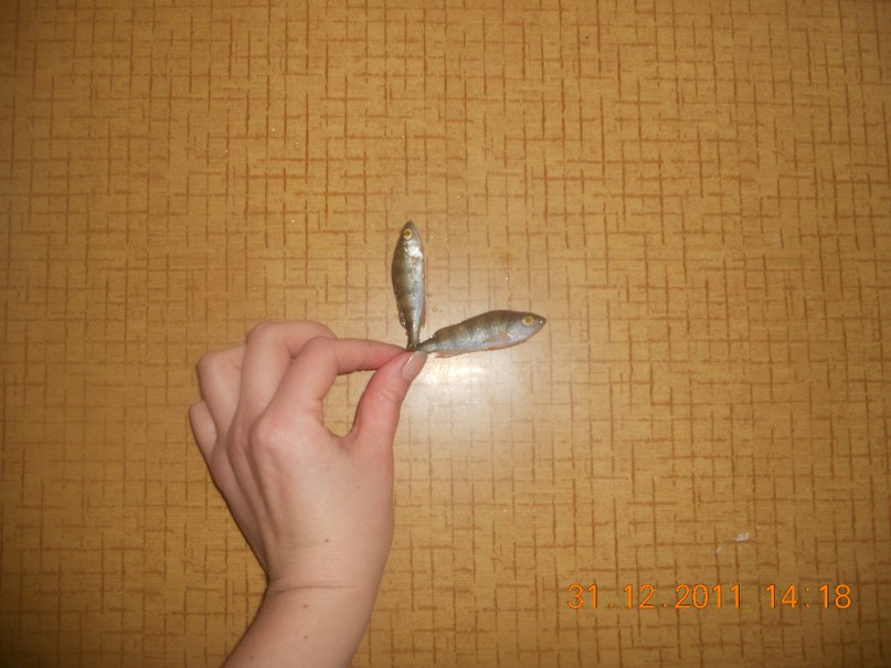 Дмитрий Ошурков Виктырич-Я | Екатеринбург