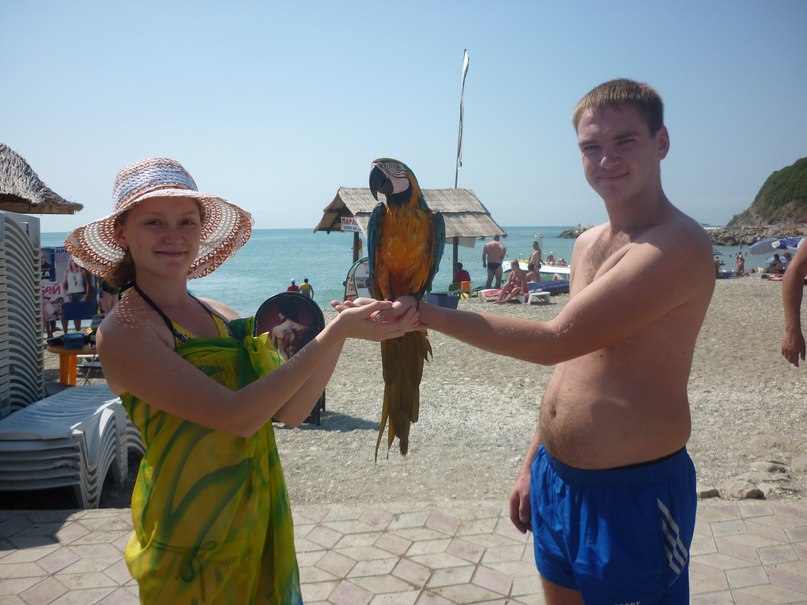 Андрей Арефьев | Волгоград