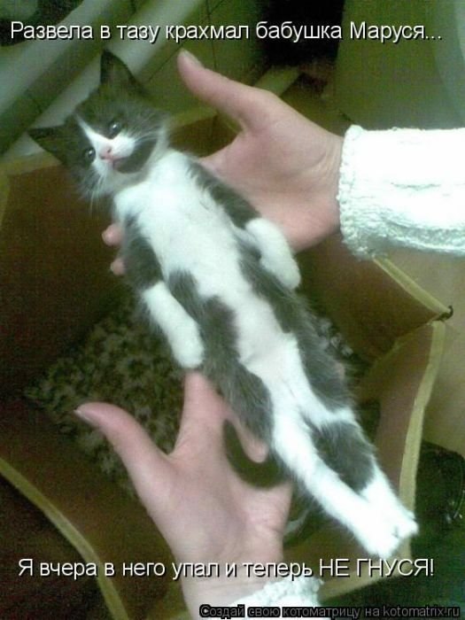 Елена Алексеева | Славянск