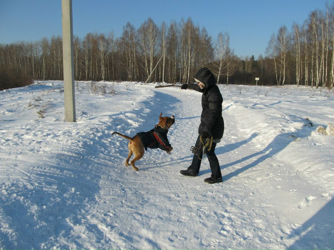 Света Шустикова | Йошкар-Ола
