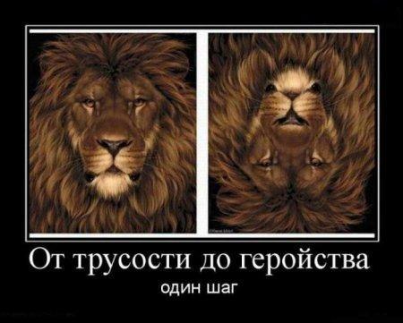 Влад Ильченко | Одесса