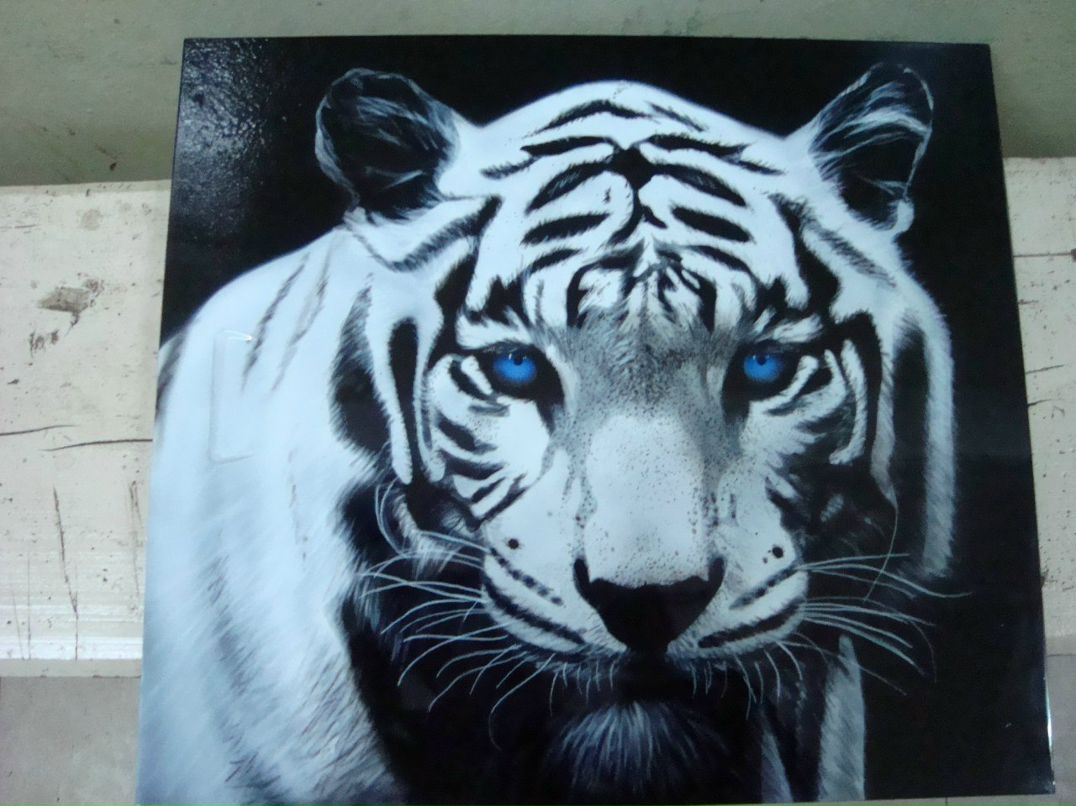 Sergey Zolotarev | Санкт-Петербург