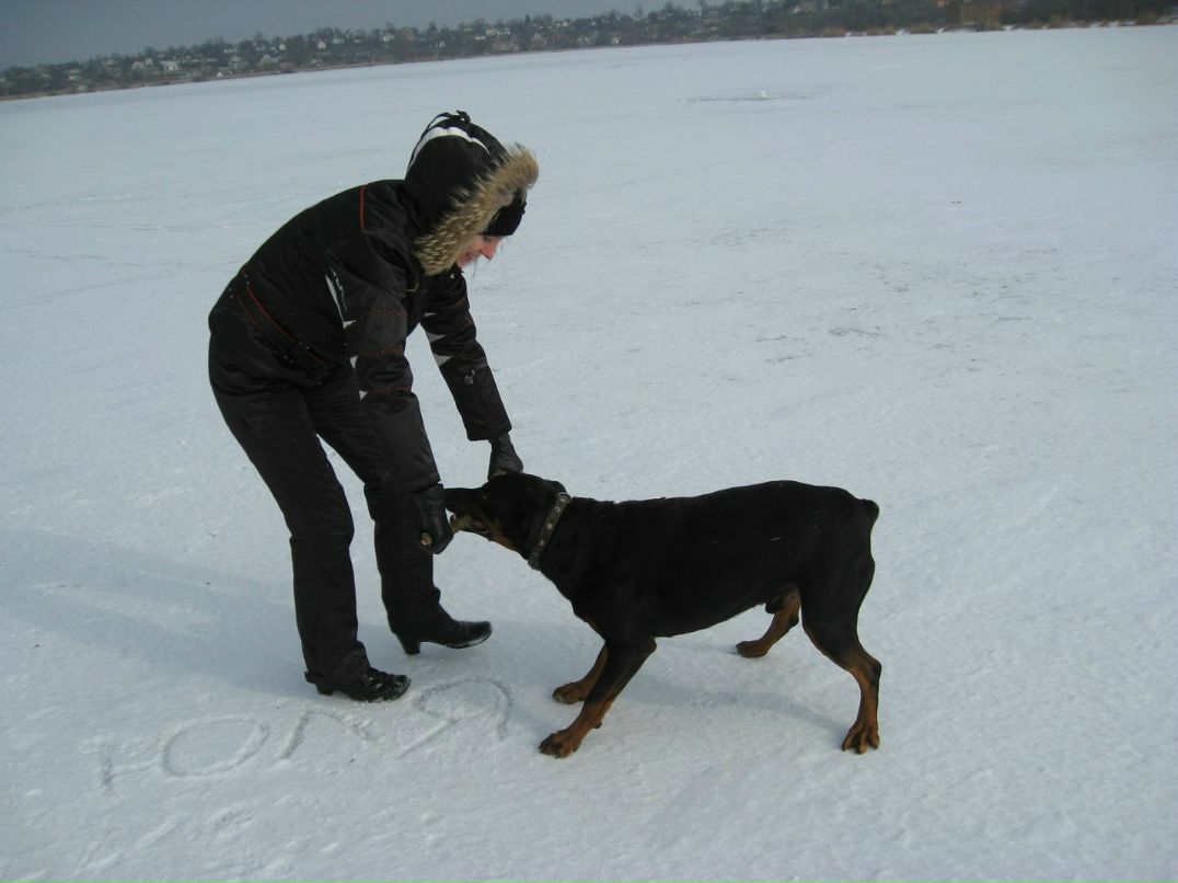 Юлия Литвин | Киев