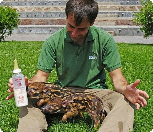 Мария Радецкая | Киев