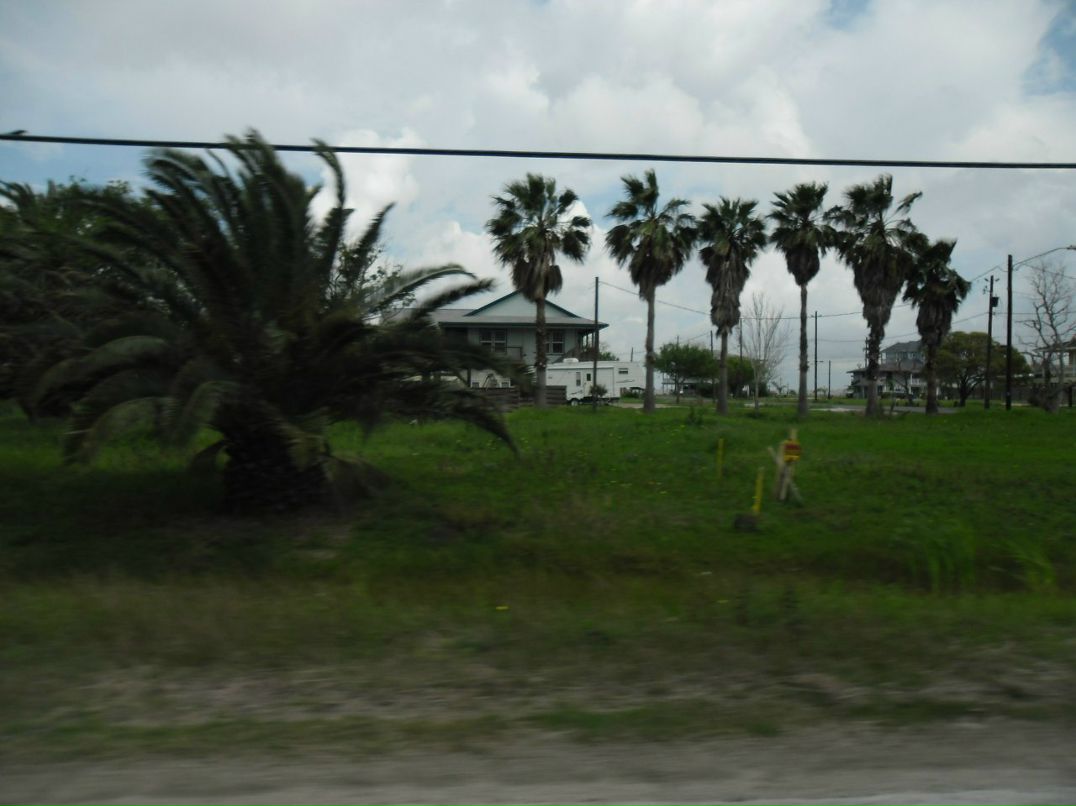 Евгений Морозов | Новороссийск