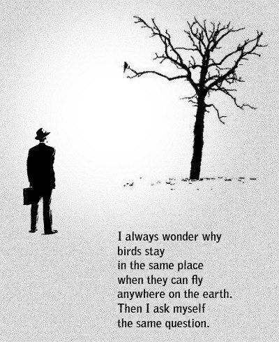 Сергей Меладзе зачем-то | 