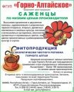 Фотография Артем Соболев