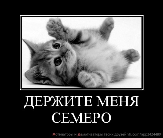№40, Павел Колчанов, 35 лет, Пермь №40, Павел Колчанов, 35 лет, Пермь