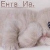 Аватар: Юляшка Кузнецова
