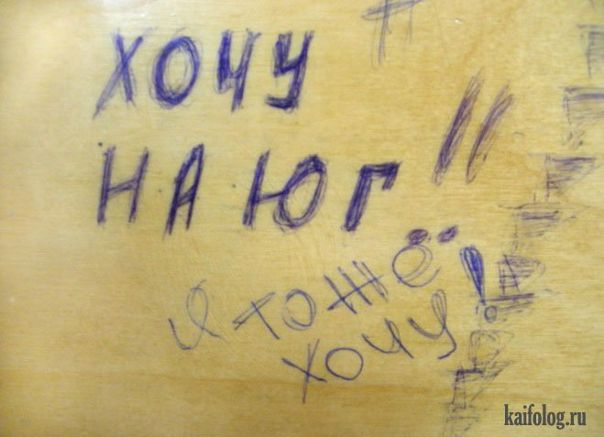 №11, Алексей Чеботарь, 43 года, Санкт-Петербург №11, Алексей Чеботарь, 43 года, Санкт-Петербург