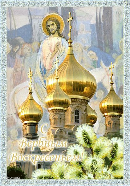 №15, Елена Ястремская, Донецк №15, Елена Ястремская, Донецк