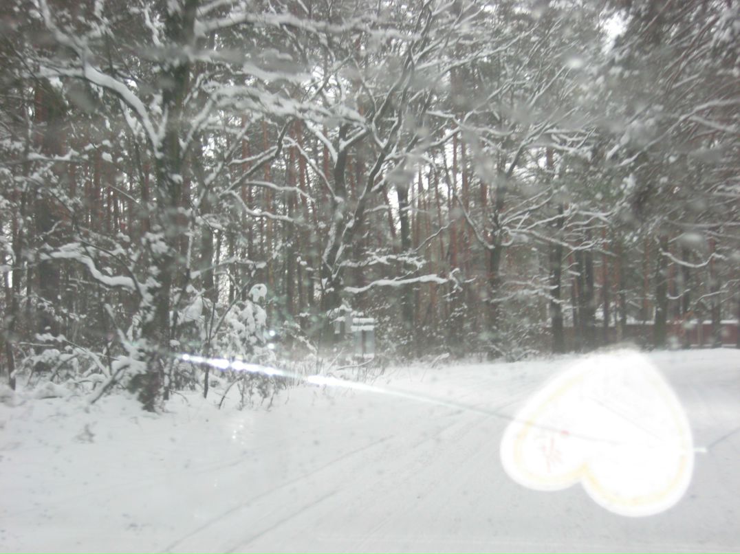 Наташа Перегон | 